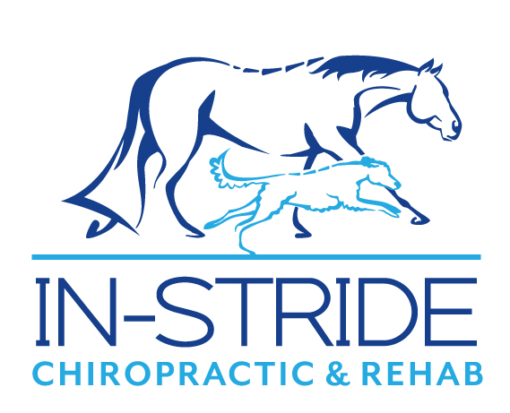 In-Stride Chiropractic & Rehab provides chiro care for people, horses, and dogs in Orillia, ON and area