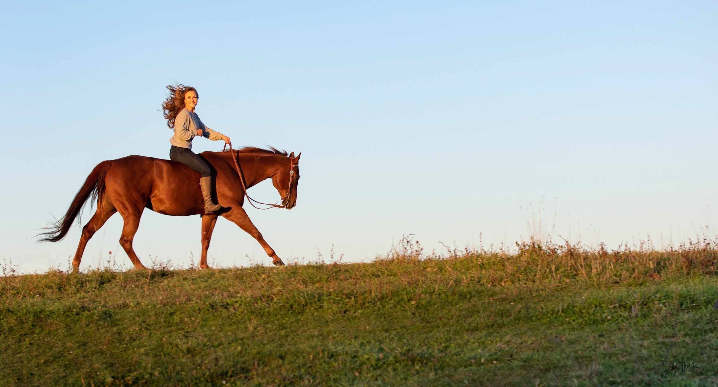 Sarah Donaldson is a Pain Clinician and Chiropractor in Orillia, ON for people, horses, and dogs
