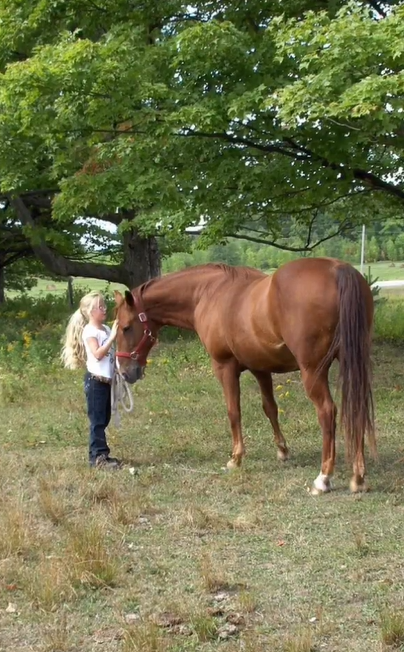 Dr. Sarah Donaldson knew from a young age that she wanted to make people and animals feel better.